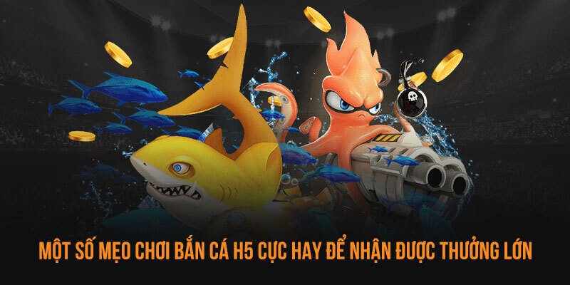 Anh em hãy ghi nhớ những chiến thuật săn cá H5 thông minh